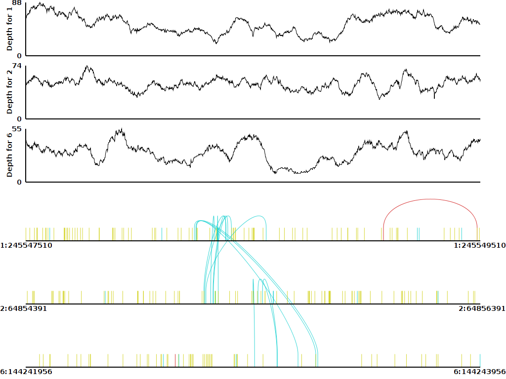 Example Translocation Image